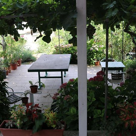 Villa Katarina Losinj Island Mali Lošinj Екстериор снимка