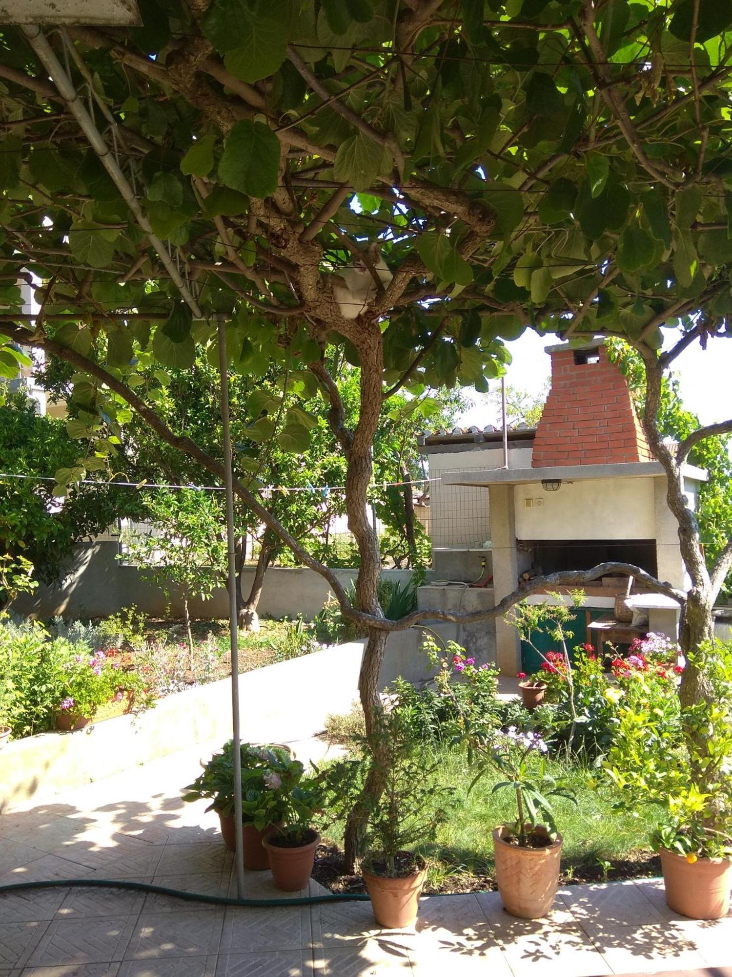 Villa Katarina Losinj Island Mali Lošinj Екстериор снимка