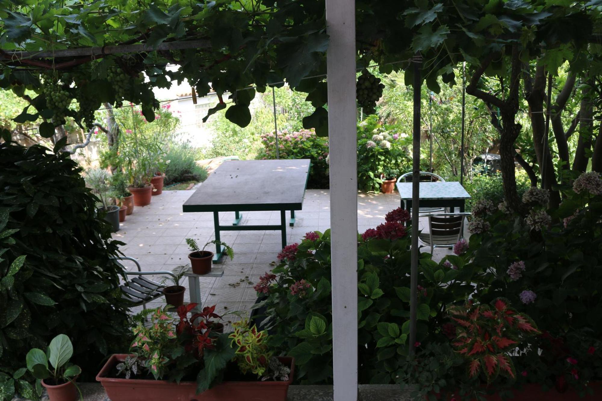 Villa Katarina Losinj Island Mali Lošinj Екстериор снимка
