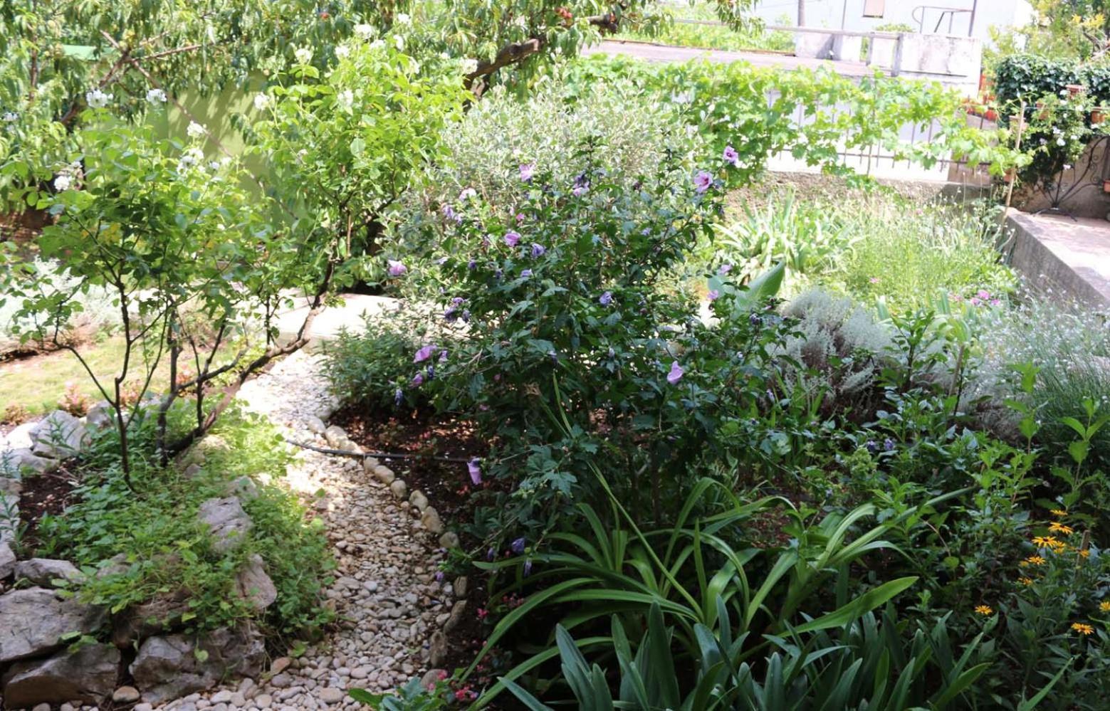 Villa Katarina Losinj Island Mali Lošinj Екстериор снимка